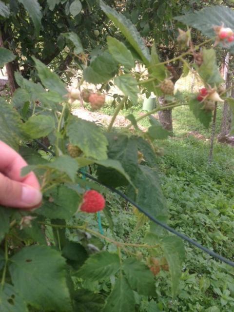 Petrella Salto Agriturismo I Due Regni מראה חיצוני תמונה